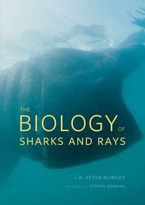 Biology of Sharks and Rays -  Klimley A. Peter Klimley