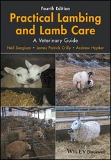 Practical Lambing and Lamb Care - Neil Sargison, James Patrick Crilly, Andrew Hopker
