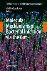 Molecular Mechanisms of Bacterial Infection via the Gut - 