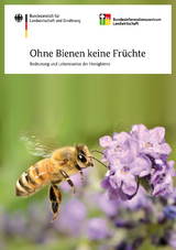 Ohne Bienen keine Früchte - Otto Boecking, Werner Von Der Ohe