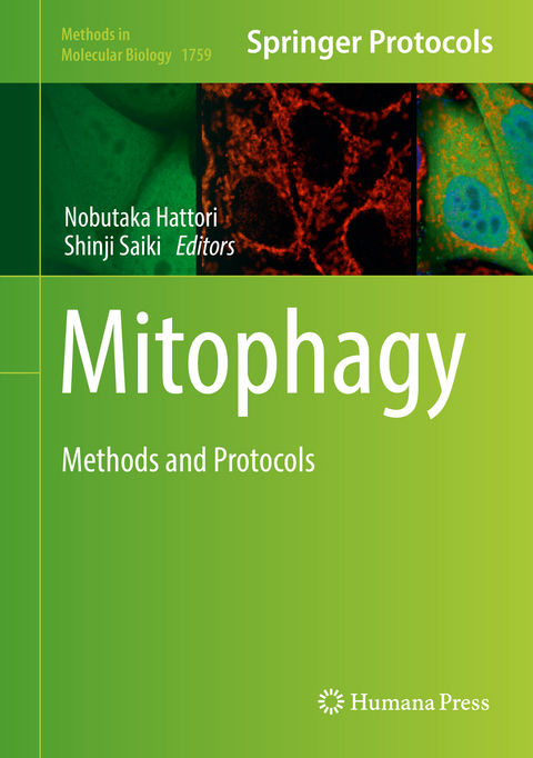 Mitophagy - 