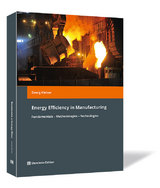 Energy Efficiency in Manufacturing - Georg Kleiser
