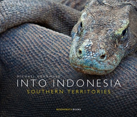 Into Indonesia - Michael Grünwald