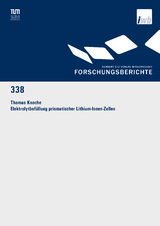 Elektrolytbefüllung prismatischer Lithium-Ionen-Zellen - Thomas Meinhard Knoche