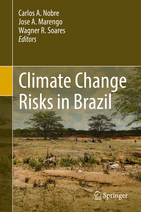Climate Change Risks in Brazil - 