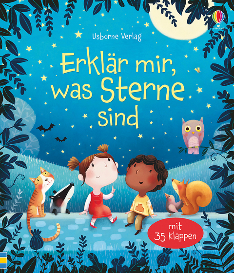 Erklär mir, was Sterne sind - Katie Daynes