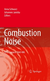 Combustion Noise - 