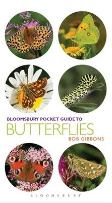 Pocket Guide to Butterflies -  Bob Gibbons