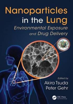 Nanoparticles in the Lung - 