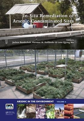 In-Situ Remediation of Arsenic-Contaminated Sites - 