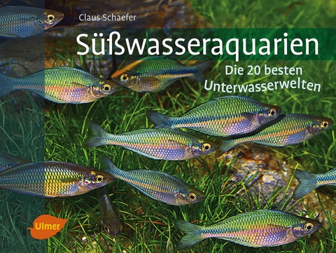 Süßwasseraquarien - Claus Schaefer