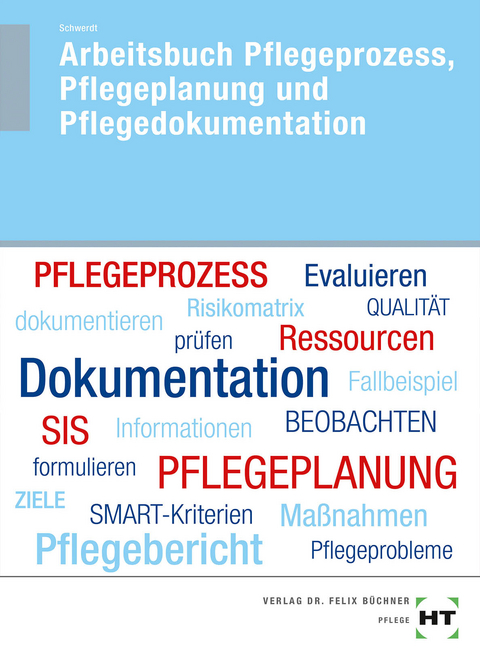 Arbeitsbuch Pflegeprozess, Pflegeplanung und Pflegedokumentation - Christine Schwerdt