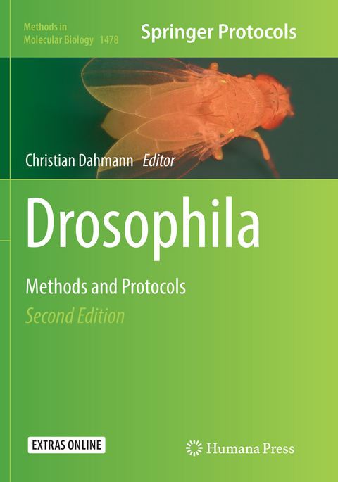 Drosophila - 