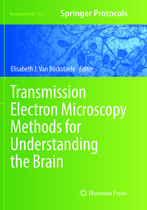 Transmission Electron Microscopy Methods for Understanding the Brain - 
