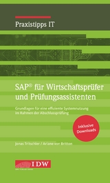 SAP für Wirtschaftsprüfer und Prüfungsassistenten - Jonas Tritschler, Ariane von Britton