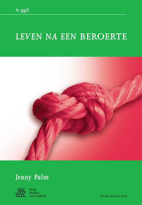 Leven na een beroerte - J. Palm