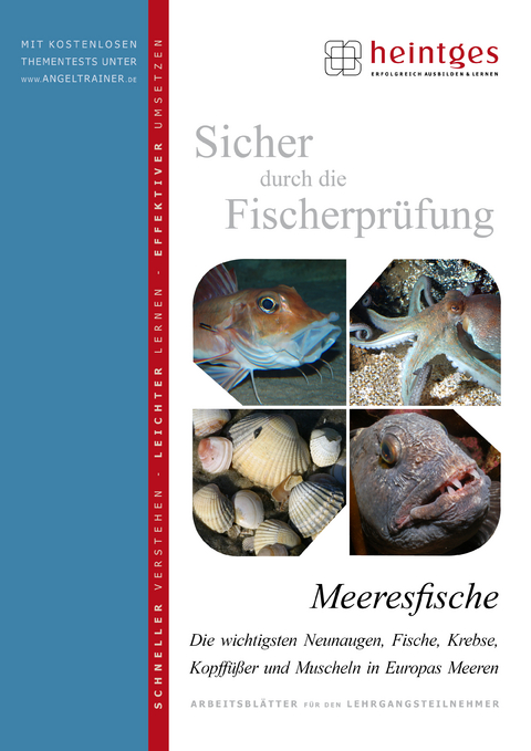 Meeresfische - 