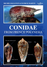Conidae from French Polynesia - Michel Balleton, Patrick Marti