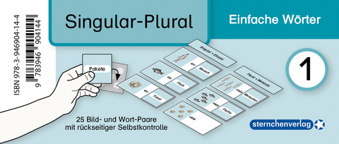 Meine Grammatikdose 1 - Singular-Plural - Einfache Wörter - Katrin Langhans