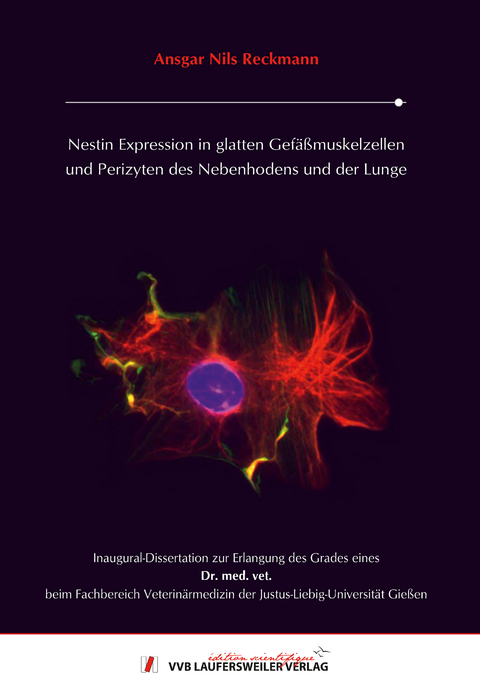 Nestin Expression in glatten Gefäßmuskelzellen und Perizyten des Nebenhodens und der Lunge - Ansgar Nils Reckmann