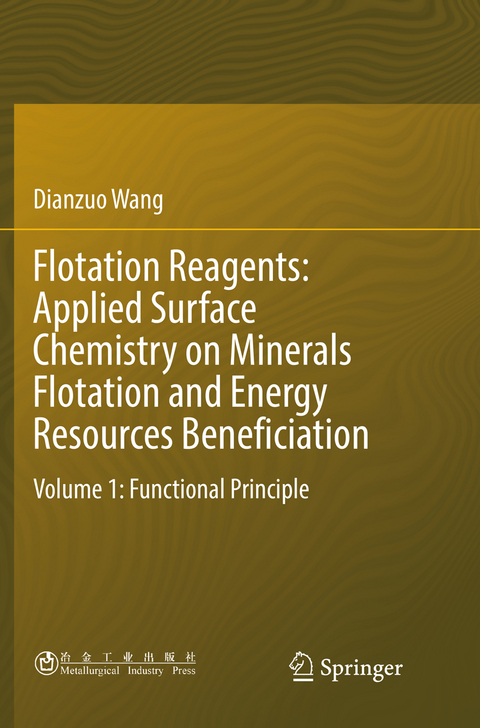 Flotation Reagents: Applied Surface Chemistry on Minerals Flotation and Energy Resources Beneficiation - Dianzuo Wang