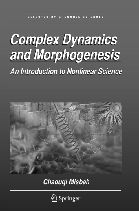 Complex Dynamics and Morphogenesis - Chaouqi Misbah
