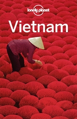 Lonely Planet Reiseführer Vietnam - Iain Stewart