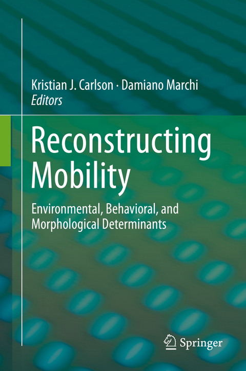 Reconstructing Mobility - 