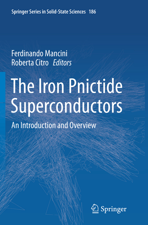 The Iron Pnictide Superconductors - 