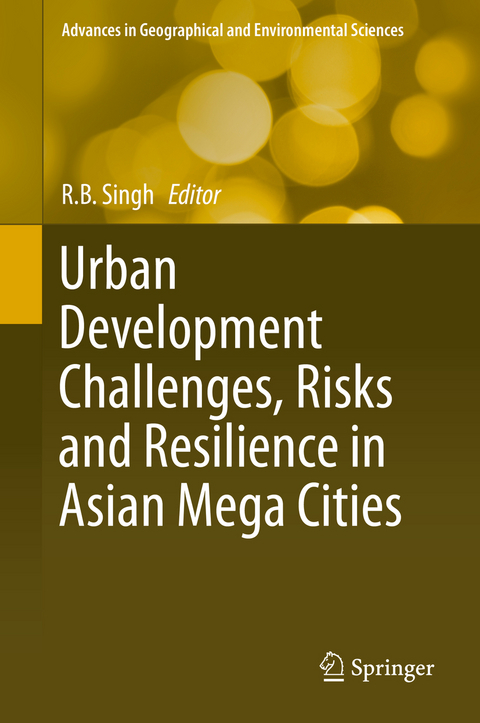 Urban Development Challenges, Risks and Resilience in Asian Mega Cities - 