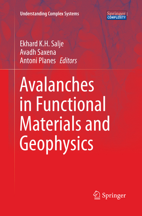 Avalanches in Functional Materials and Geophysics - 