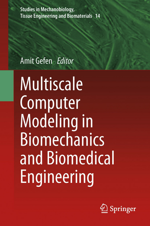 Multiscale Computer Modeling in Biomechanics and Biomedical Engineering - 