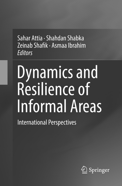 Dynamics and Resilience of Informal Areas - 