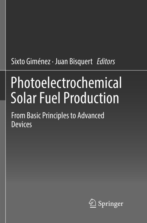 Photoelectrochemical Solar Fuel Production - 