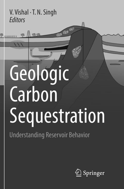 Geologic Carbon Sequestration - 