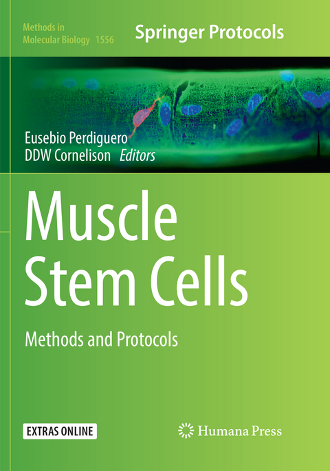 Muscle Stem Cells - 