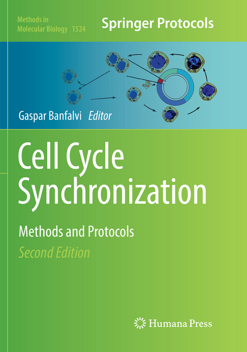 Cell Cycle Synchronization - 