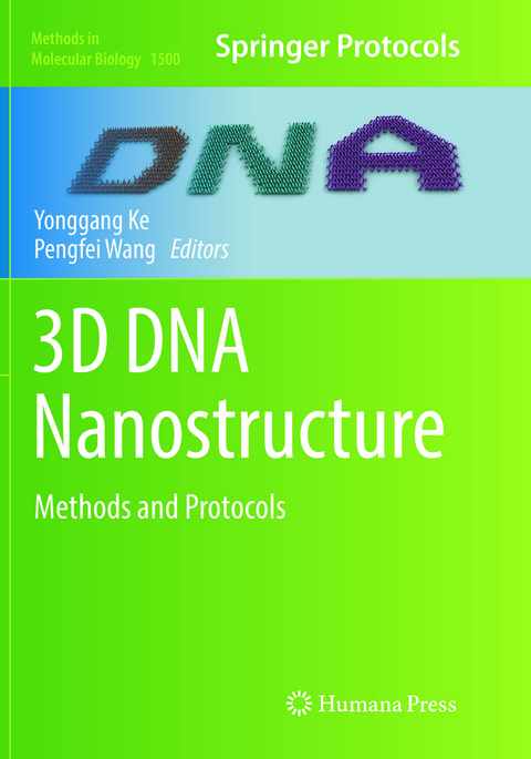 3D DNA Nanostructure - 