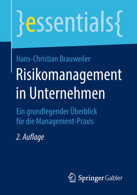 Risikomanagement in Unternehmen - Hans-Christian Brauweiler