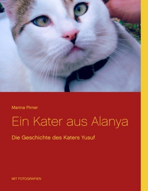 Ein Kater aus Alanya - Marina Pirner