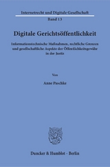 Digitale Gerichtsöffentlichkeit. - Anne Paschke