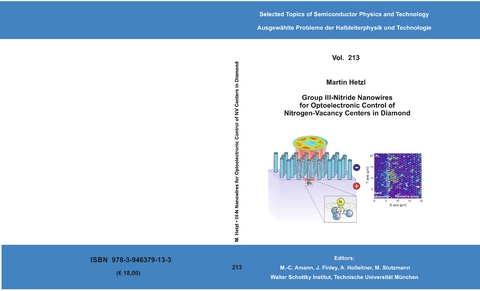 Group III-Nitride Nanowires for Optoelectronic Control of Nitrogen-Vacancy Centers in Diamond - Martin Hetzl