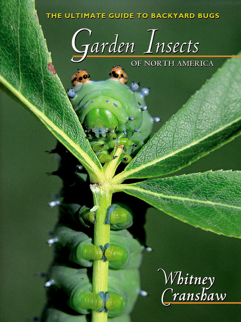 Garden Insects of North America -  Whitney Cranshaw