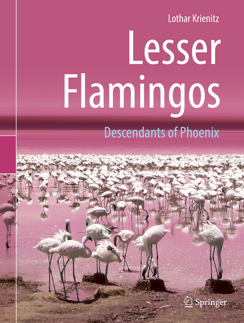 Lesser Flamingos - Lothar Krienitz