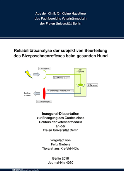 Reliabilitätsanalyse der subjektiven Beurteilung des Bizepssehnenreflexes beim gesunden Hund - Felix Giebels