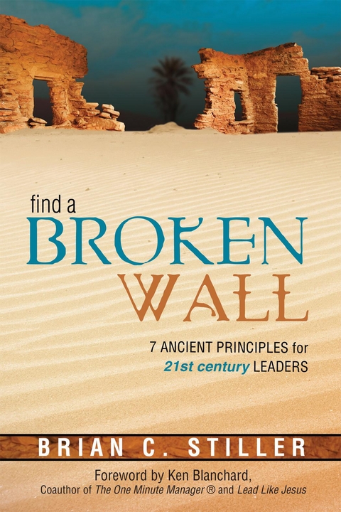 Find A Broken Wall - Brian C Stiller