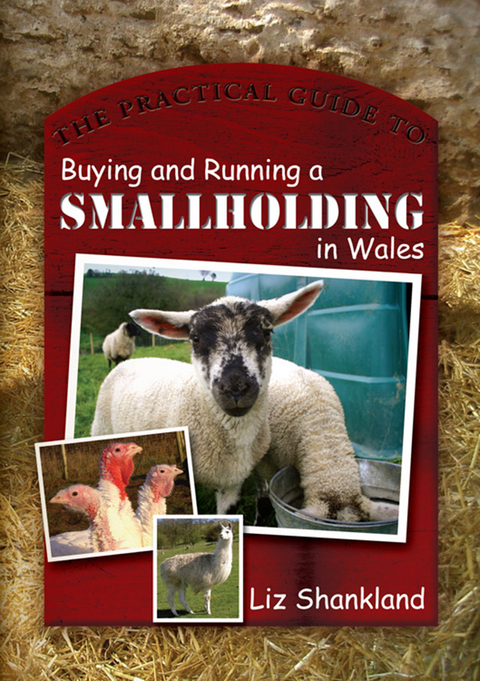 The Practical Guide to Buying and Running a Smallholding in Wales - Liz Shankland