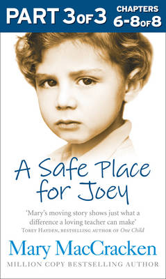 Safe Place for Joey: Part 3 of 3 -  Mary MacCracken