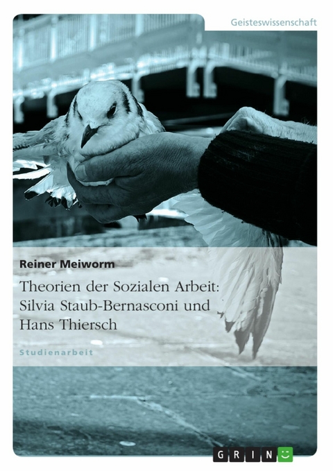 Theorien der Sozialen Arbeit: Silvia Staub-Bernasconi und Hans Thiersch - Reiner Meiworm