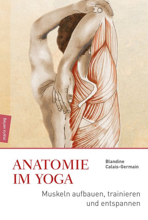 Anatomie im Yoga - Blandine Calais-Germain